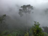Costa Rica 08 060