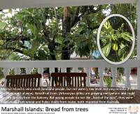 Marshall Islands Woff