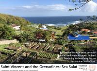 Saint Vincent and the Grenadines Woff